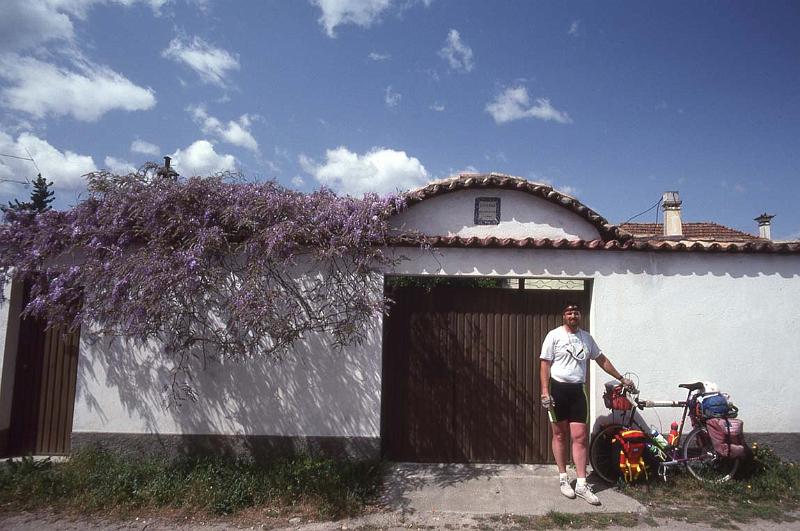 RWT 0245 304-35 Portugal Wisteria.jpg